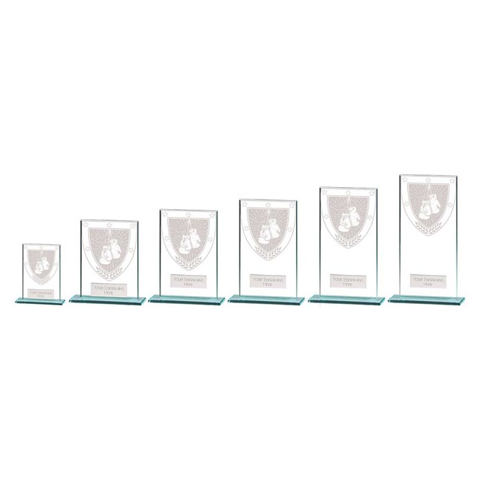MILLENIUM BOXING GLASS TROPHY - 6 SIZES - 8CM - 18CM